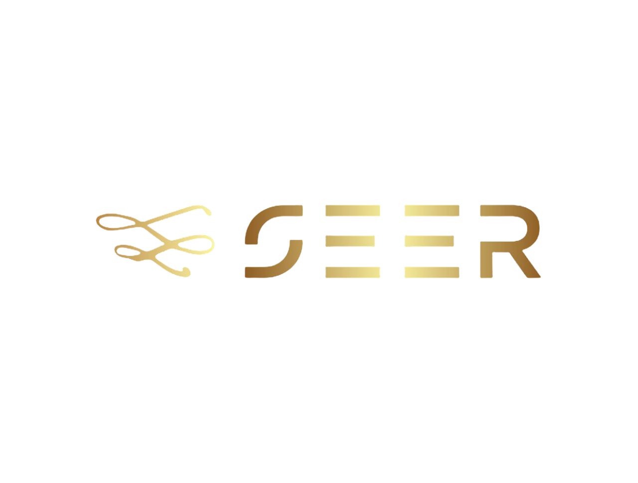 本頁圖片/檔案 - Seer logo